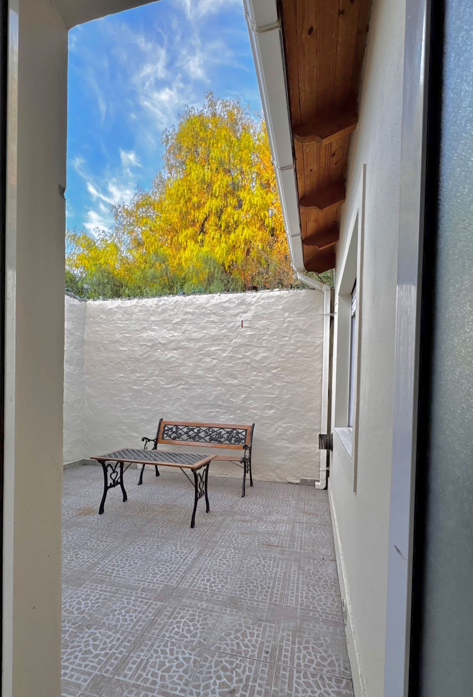 Patio con banco de hierro y un árbol en flor